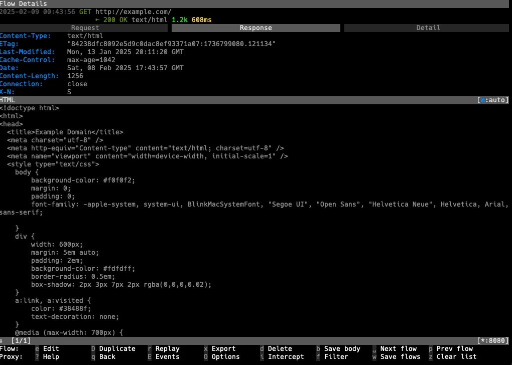 Proxy authentication prompt